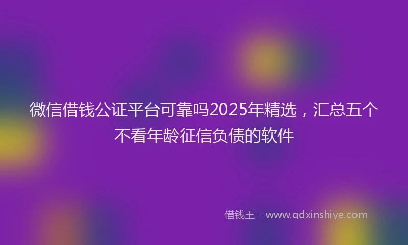 微信借钱公证平台可靠吗2025年精选，汇总五个不看年龄征信负债的软件