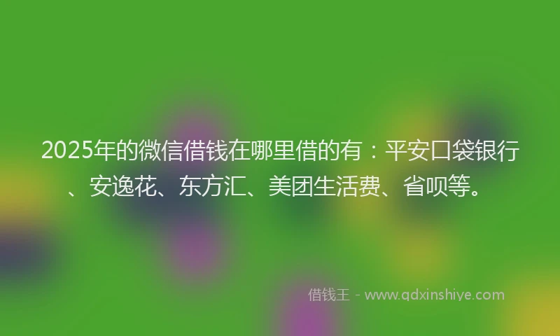 2025年的微信借钱在哪里借的有：平安口袋银行、安逸花、东方汇、美团生活费、省呗等。