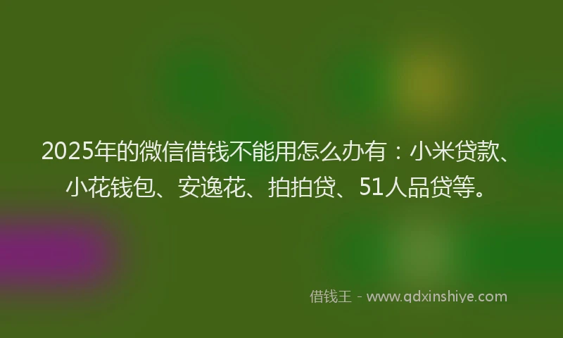 2025年的微信借钱不能用怎么办有：小米贷款、小花钱包、安逸花、拍拍贷、51人品贷等。