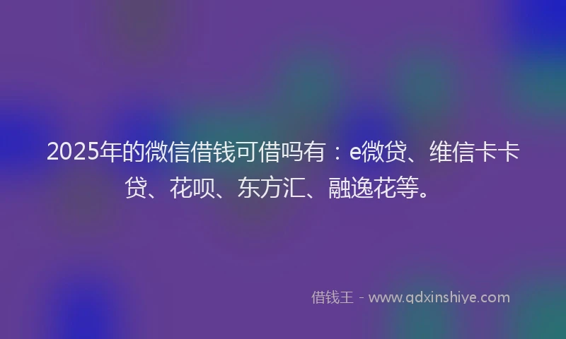 2025年的微信借钱可借吗有：e微贷、维信卡卡贷、花呗、东方汇、融逸花等。