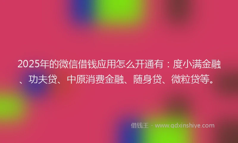 2025年的微信借钱应用怎么开通有：度小满金融、功夫贷、中原消费金融、随身贷、微粒贷等。