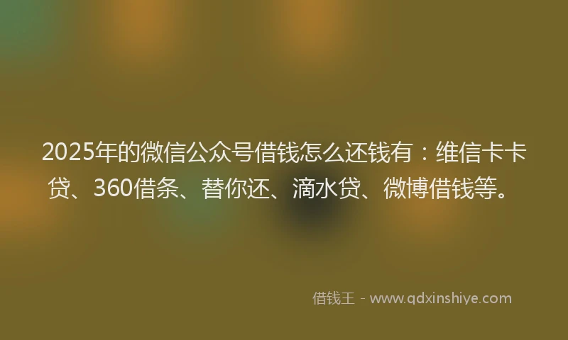 2025年的微信公众号借钱怎么还钱有：维信卡卡贷、360借条、替你还、滴水贷、微博借钱等。
