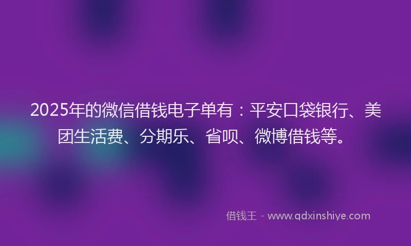 2025年的微信借钱电子单有：平安口袋银行、美团生活费、分期乐、省呗、微博借钱等。