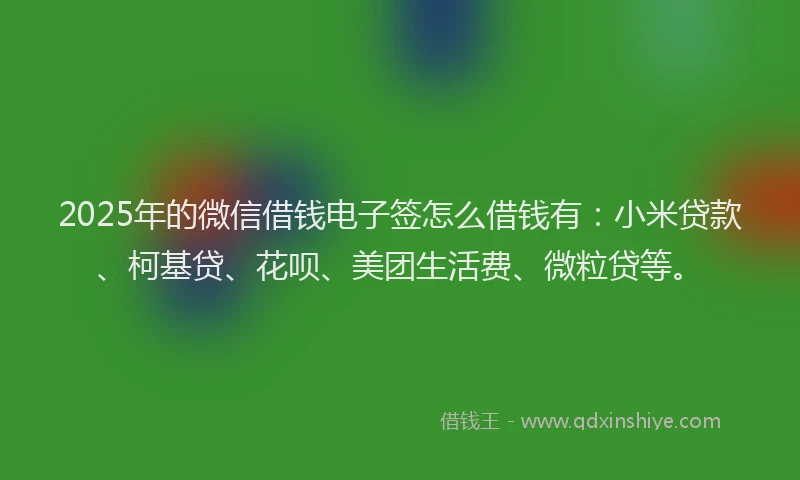 2025年的微信借钱电子签怎么借钱有：小米贷款、柯基贷、花呗、美团生活费、微粒贷等。