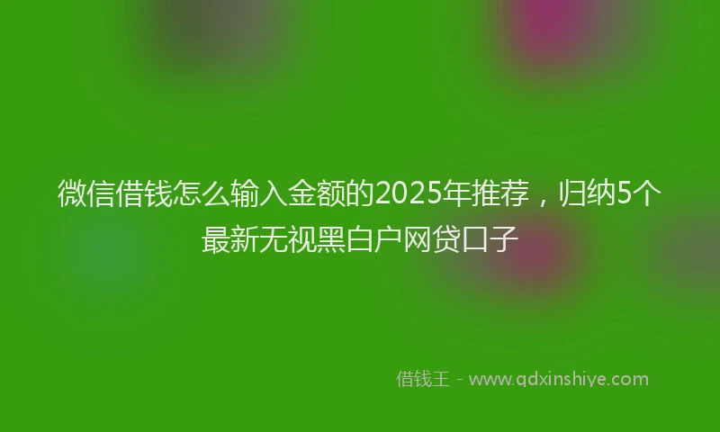 微信借钱怎么输入金额的2025年推荐，归纳5个最新无视黑白户网贷口子