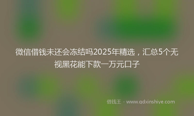 微信借钱未还会冻结吗2025年精选，汇总5个无视黑花能下款一万元口子