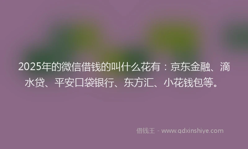 2025年的微信借钱的叫什么花有：京东金融、滴水贷、平安口袋银行、东方汇、小花钱包等。