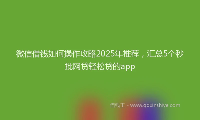 微信借钱如何操作攻略2025年推荐，汇总5个秒批网贷轻松贷的app
