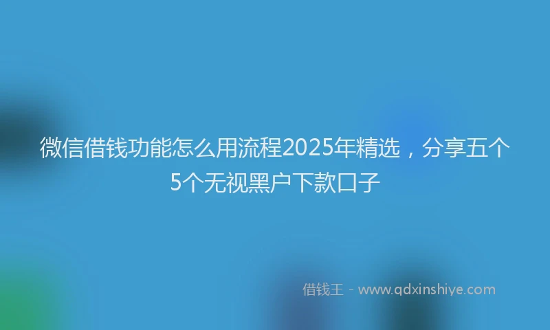微信借钱功能怎么用流程2025年精选，分享五个5个无视黑户下款口子