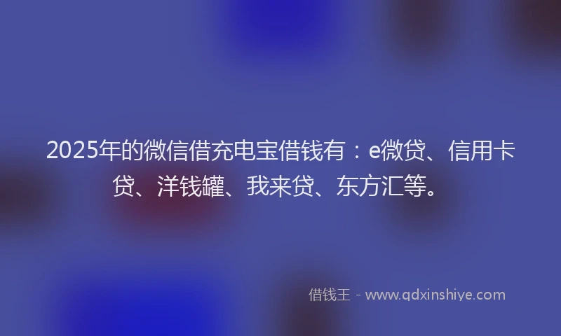 2025年的微信借充电宝借钱有：e微贷、信用卡贷、洋钱罐、我来贷、东方汇等。