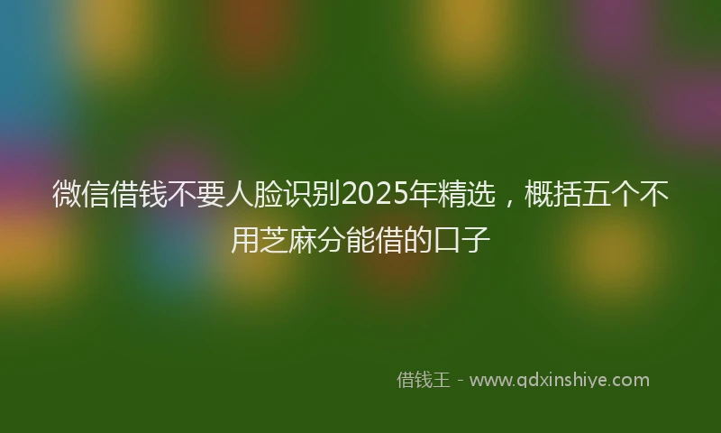 微信借钱不要人脸识别2025年精选，概括五个不用芝麻分能借的口子