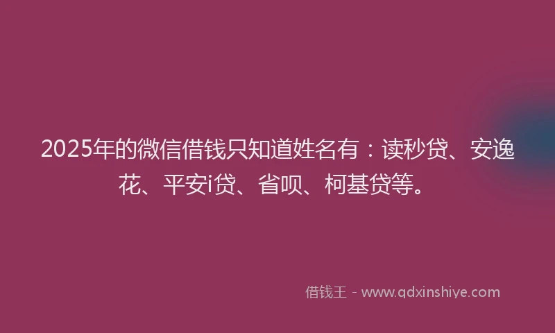 2025年的微信借钱只知道姓名有：读秒贷、安逸花、平安i贷、省呗、柯基贷等。