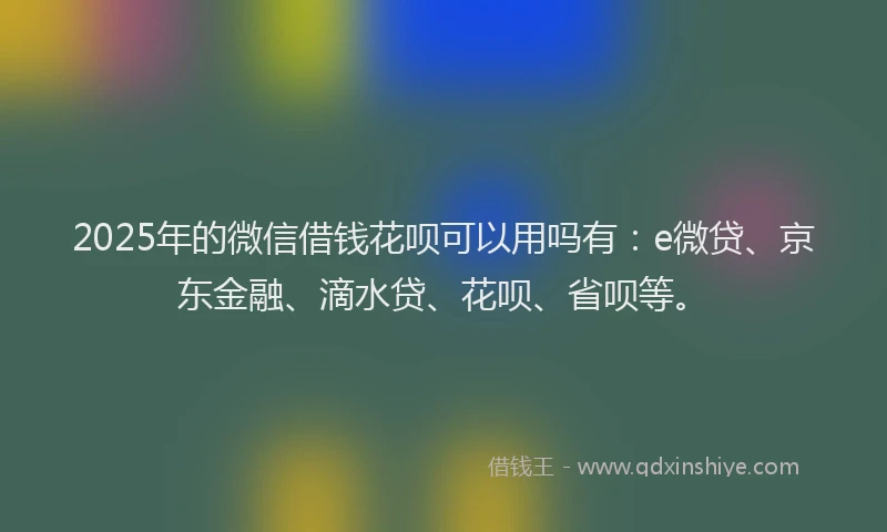2025年的微信借钱花呗可以用吗有：e微贷、京东金融、滴水贷、花呗、省呗等。