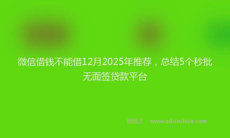 微信借钱不能借12月2025年推荐，总结5个秒批无面签贷款平台