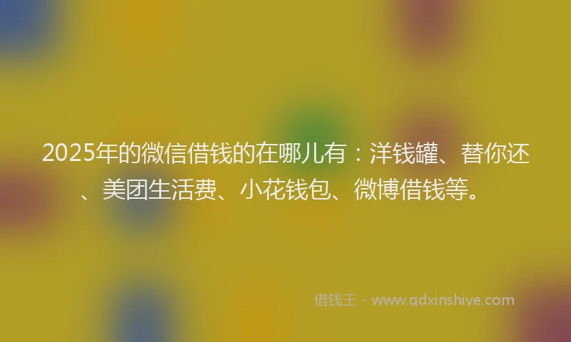 2025年的微信借钱的在哪儿有：洋钱罐、替你还、美团生活费、小花钱包、微博借钱等。