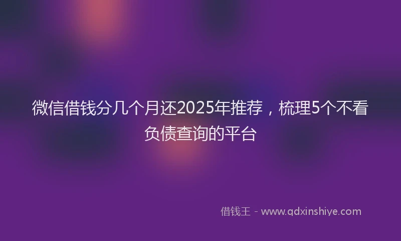微信借钱分几个月还2025年推荐，梳理5个不看负债查询的平台