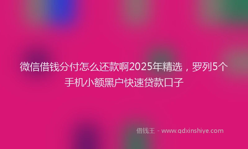 微信借钱分付怎么还款啊2025年精选，罗列5个手机小额黑户快速贷款口子
