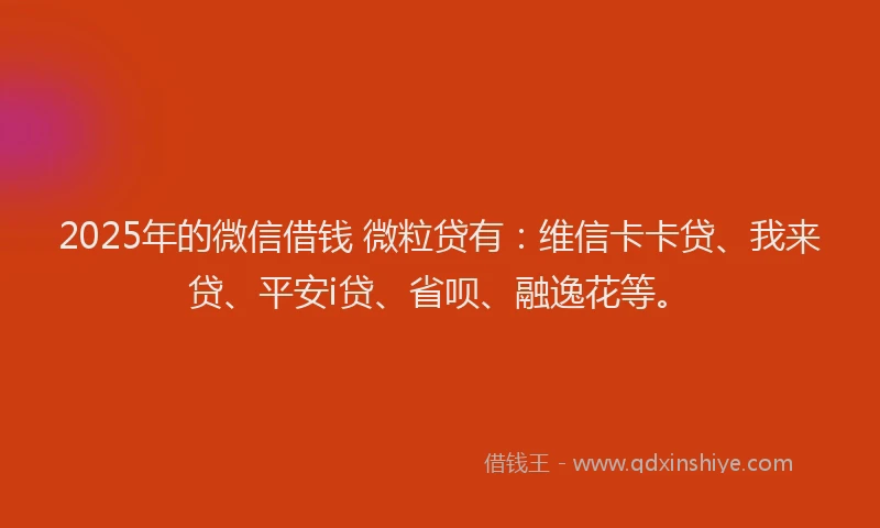 2025年的微信借钱 微粒贷有：维信卡卡贷、我来贷、平安i贷、省呗、融逸花等。
