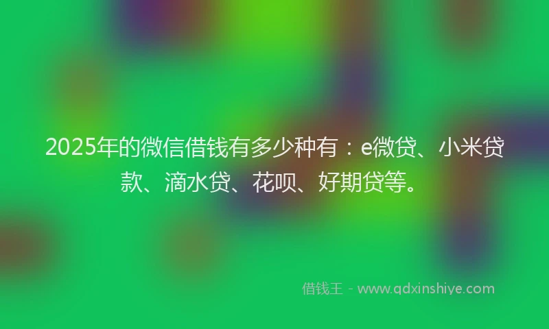 2025年的微信借钱有多少种有：e微贷、小米贷款、滴水贷、花呗、好期贷等。