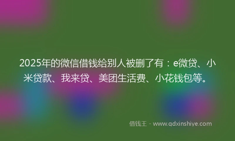 2025年的微信借钱给别人被删了有：e微贷、小米贷款、我来贷、美团生活费、小花钱包等。