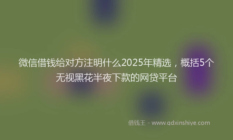微信借钱给对方注明什么2025年精选，概括5个无视黑花半夜下款的网贷平台