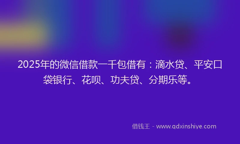 2025年的微信借款一千包借有：滴水贷、平安口袋银行、花呗、功夫贷、分期乐等。