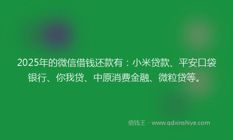 2025年的微信借钱还款有：小米贷款、平安口袋银行、你我贷、中原消费金融、微粒贷等。
