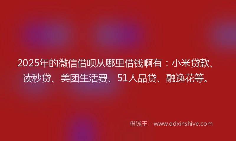 2025年的微信借呗从哪里借钱啊有：小米贷款、读秒贷、美团生活费、51人品贷、融逸花等。