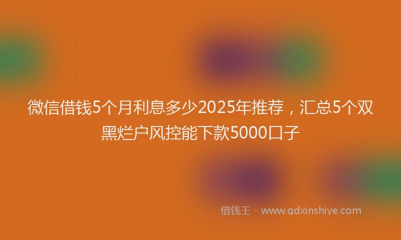 微信借钱5个月利息多少2025年推荐，汇总5个双黑烂户风控能下款5000口子