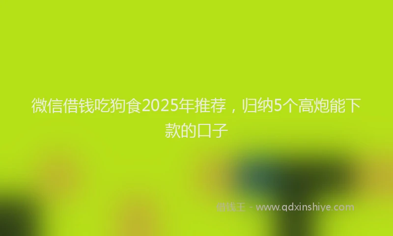 微信借钱吃狗食2025年推荐，归纳5个高炮能下款的口子