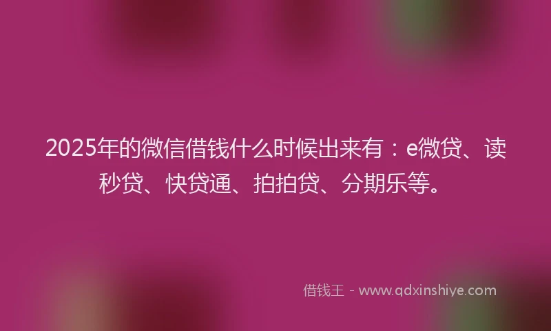 2025年的微信借钱什么时候出来有：e微贷、读秒贷、快贷通、拍拍贷、分期乐等。