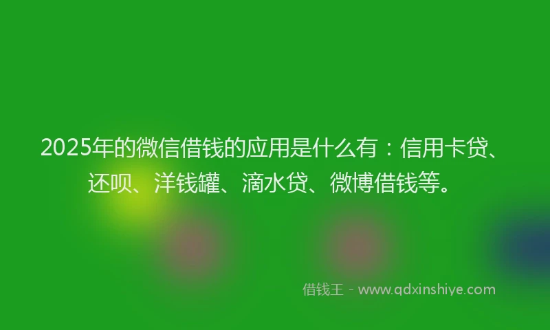 2025年的微信借钱的应用是什么有：信用卡贷、还呗、洋钱罐、滴水贷、微博借钱等。
