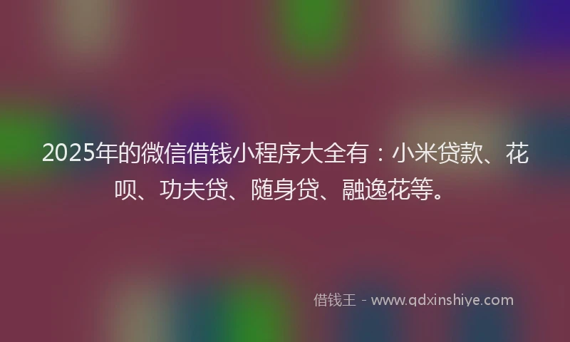 2025年的微信借钱小程序大全有：小米贷款、花呗、功夫贷、随身贷、融逸花等。