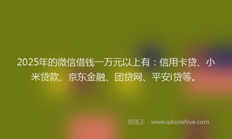 2025年的微信借钱一万元以上有：信用卡贷、小米贷款、京东金融、团贷网、平安i贷等。