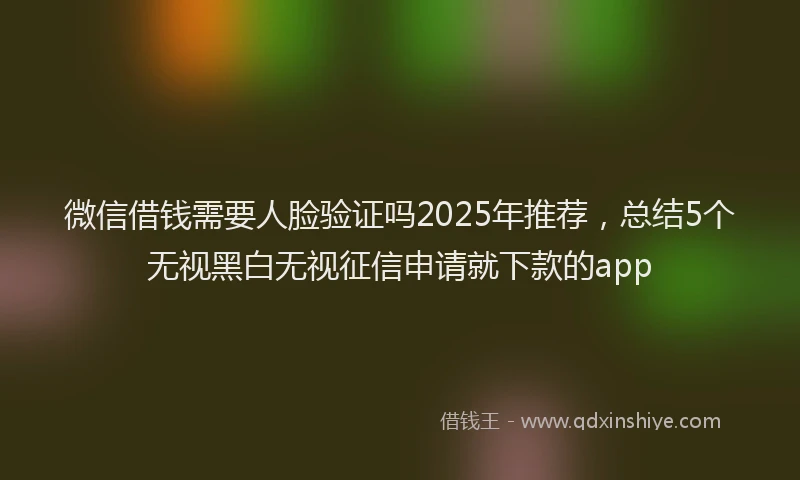微信借钱需要人脸验证吗2025年推荐，总结5个无视黑白无视征信申请就下款的app