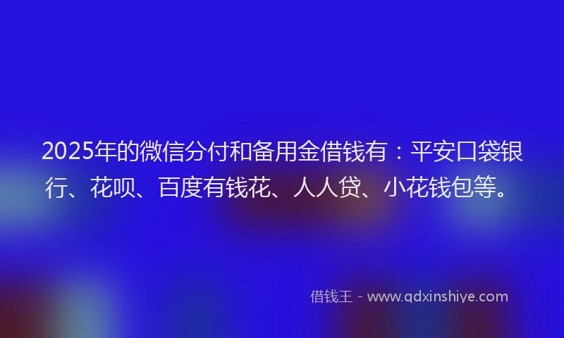 2025年的微信分付和备用金借钱有：平安口袋银行、花呗、百度有钱花、人人贷、小花钱包等。
