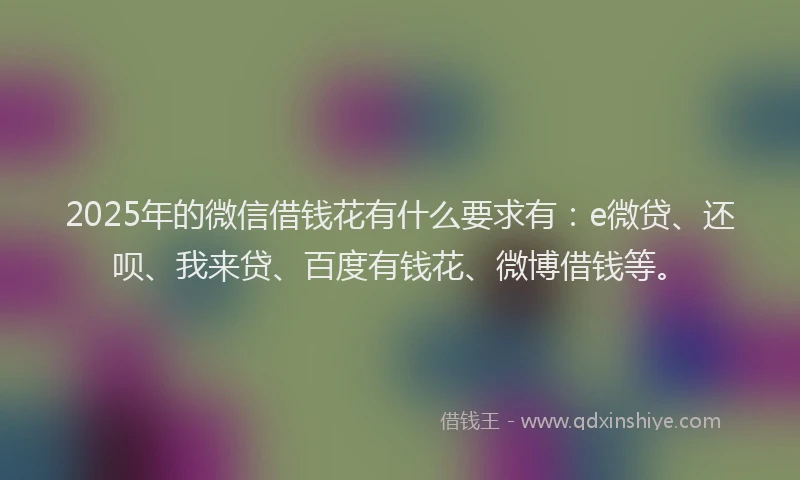 2025年的微信借钱花有什么要求有：e微贷、还呗、我来贷、百度有钱花、微博借钱等。