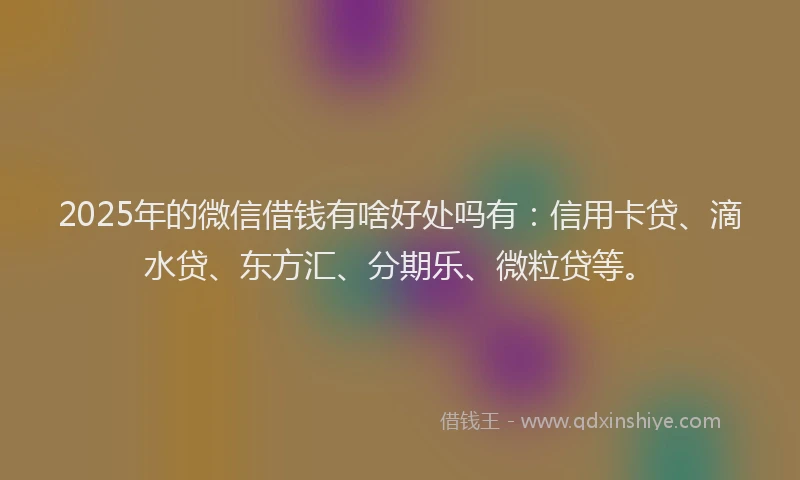 2025年的微信借钱有啥好处吗有：信用卡贷、滴水贷、东方汇、分期乐、微粒贷等。