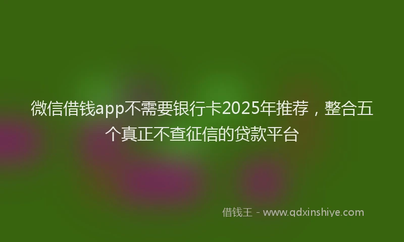微信借钱app不需要银行卡2025年推荐，整合五个真正不查征信的贷款平台