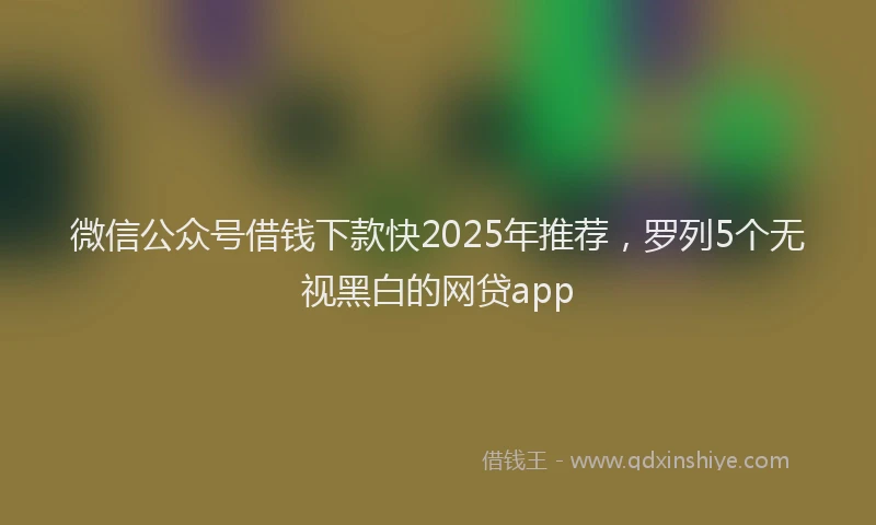 微信公众号借钱下款快2025年推荐，罗列5个无视黑白的网贷app