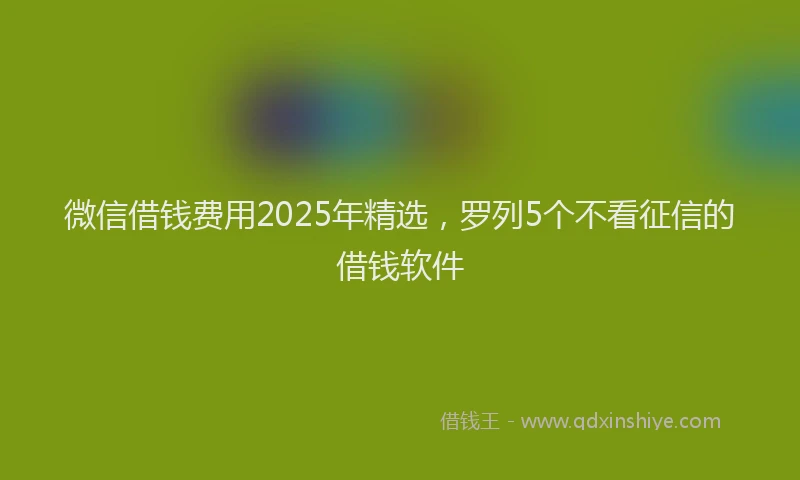 微信借钱费用2025年精选，罗列5个不看征信的借钱软件