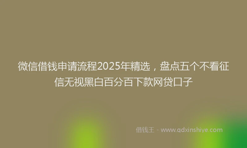 微信借钱申请流程2025年精选，盘点五个不看征信无视黑白百分百下款网贷口子