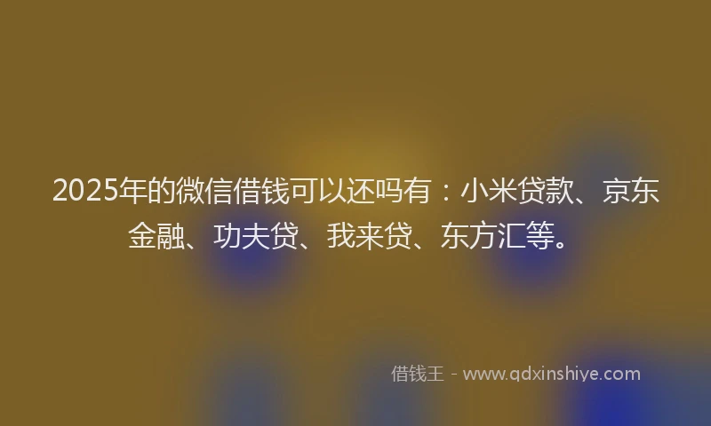 2025年的微信借钱可以还吗有：小米贷款、京东金融、功夫贷、我来贷、东方汇等。