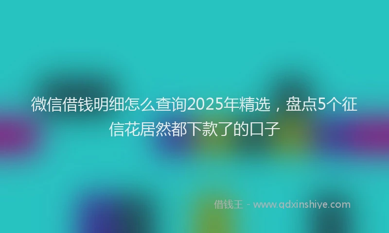 微信借钱明细怎么查询2025年精选，盘点5个征信花居然都下款了的口子