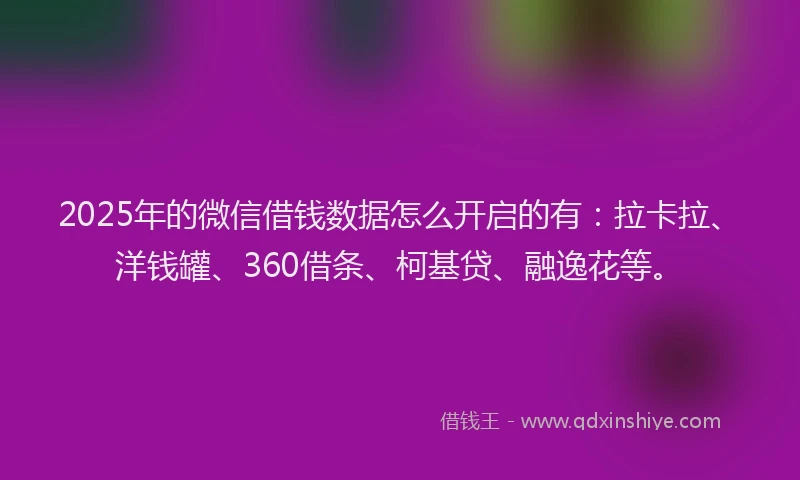 2025年的微信借钱数据怎么开启的有：拉卡拉、洋钱罐、360借条、柯基贷、融逸花等。