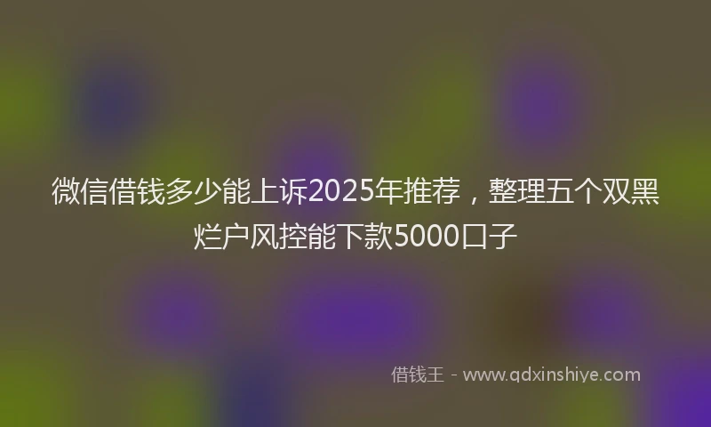 微信借钱多少能上诉2025年推荐，整理五个双黑烂户风控能下款5000口子