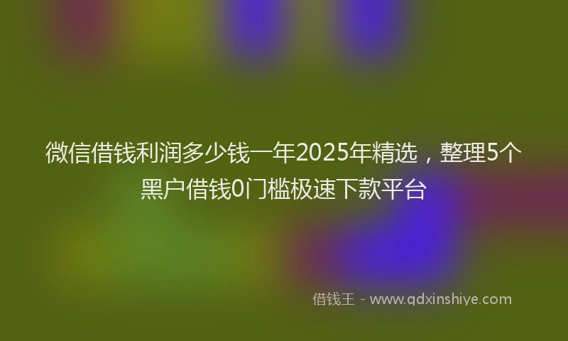 微信借钱利润多少钱一年2025年精选，整理5个黑户借钱0门槛极速下款平台