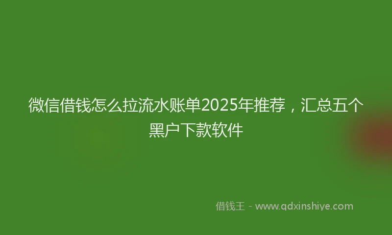 微信借钱怎么拉流水账单2025年推荐，汇总五个黑户下款软件