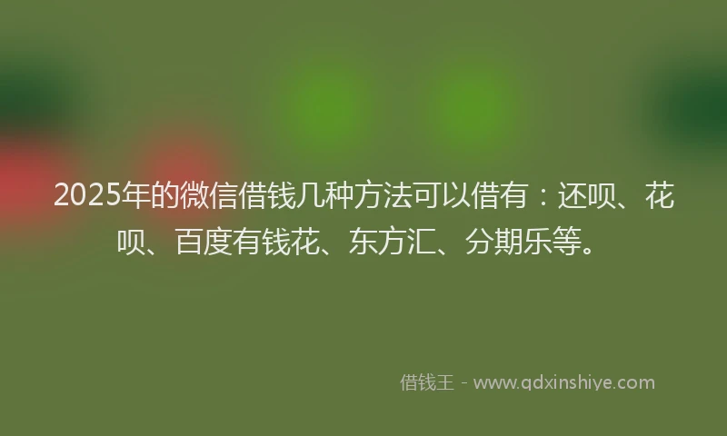 2025年的微信借钱几种方法可以借有：还呗、花呗、百度有钱花、东方汇、分期乐等。