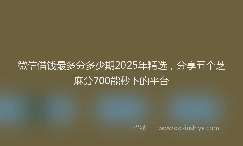 微信借钱最多分多少期2025年精选，分享五个芝麻分700能秒下的平台